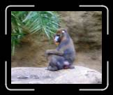 IMG_0375 * 1485 x 1190 * (338KB)