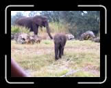 IMG_0377 * 2048 x 1536 * (693KB)