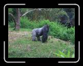 IMG_0395 * 2048 x 1536 * (1.19MB)