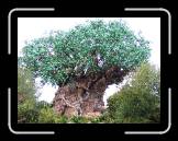 IMG_0363 * 2048 x 1536 * (1.33MB)