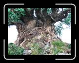 IMG_0366 * 2048 x 1536 * (1.14MB)