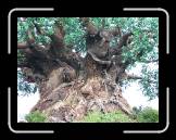 IMG_0367 * 2048 x 1536 * (1.18MB)