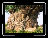 IMG_0425 * 2048 x 1536 * (1.16MB)