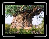 IMG_0426 * 2048 x 1536 * (1.4MB)