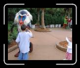 IMG_0360 * 1807 x 1469 * (666KB)