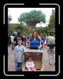 IMG_0362 * 1536 x 2048 * (1.11MB)