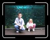 IMG_0387 * 1443 x 1087 * (404KB)