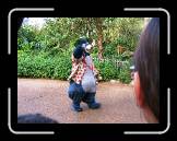 IMG_0407 * 2048 x 1536 * (1.37MB)