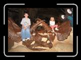 IMG_0439 * 1829 x 1254 * (743KB)