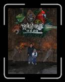 IMG_0069 * 1536 x 2048 * (1019KB)