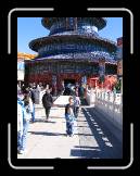IMG_0097 * 1536 x 2048 * (1.15MB)