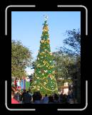 IMG_0116 * 1209 x 1613 * (690KB)