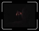 IMG_0206 * 2048 x 1536 * (299KB)