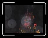 IMG_0207 * 2048 x 1536 * (611KB)