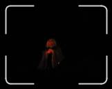 IMG_0214 * 2048 x 1536 * (209KB)