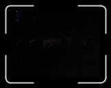 IMG_0215 * 2048 x 1536 * (428KB)