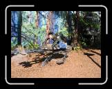 IMG_0136 * 2048 x 1536 * (1.38MB)