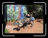 IMG_0137 * 2048 x 1536 * (1.4MB)