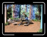 IMG_0138 * 2048 x 1536 * (1.44MB)