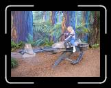 IMG_0143 * 2048 x 1536 * (1.26MB)