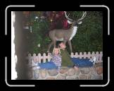 IMG_0237 * 2048 x 1536 * (948KB)