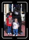 IMG_0246 * 1022 x 1534 * (436KB)