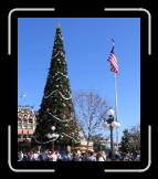 IMG_0257 * 1374 x 1595 * (633KB)