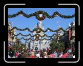 IMG_0261 * 2048 x 1536 * (1.19MB)