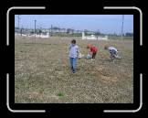 IMG_0624 * 2048 x 1536 * (1.34MB)