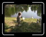 IMG_0669 * 2048 x 1536 * (1.19MB)