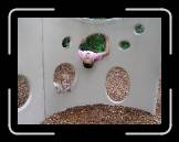 IMG_0711 * 2048 x 1536 * (787KB)