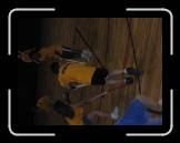 IMG_0636 * 2048 x 1536 * (703KB)