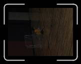 IMG_0640 * 2048 x 1536 * (658KB)